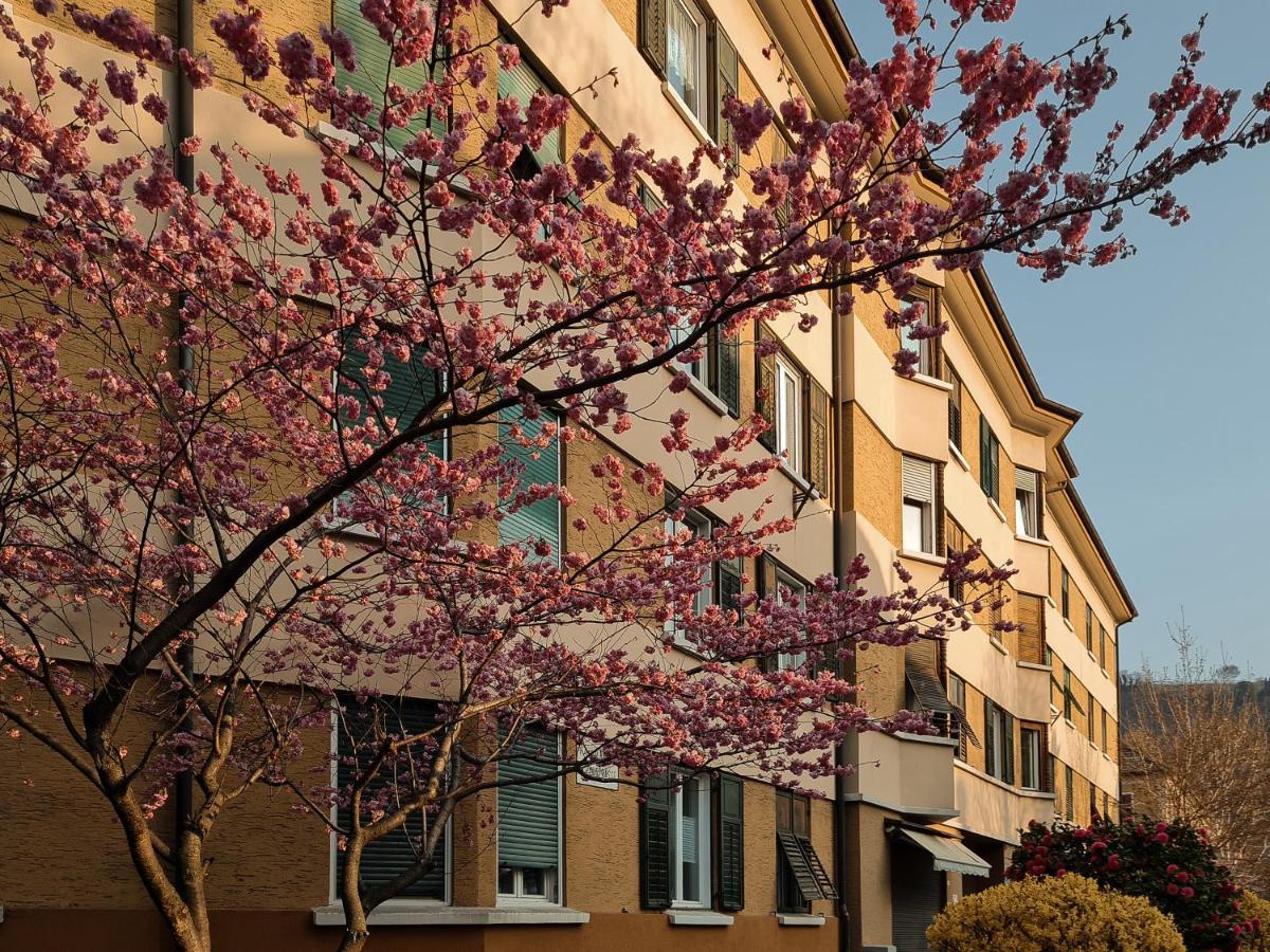 Appartamento Central Suite Meran